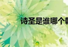 詩(shī)圣是誰(shuí)哪個(gè)朝代人（詩(shī)圣是誰(shuí)）