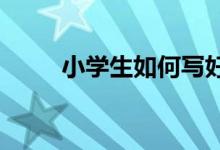 小學(xué)生如何寫好優(yōu)秀考場作文作文