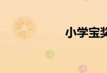 小學(xué)寶獎(jiǎng)學(xué)金怎么用