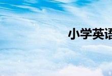 小學(xué)英語語法是什么