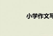 小學(xué)作文寫作方法與技巧
