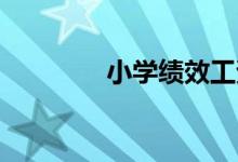 小學(xué)績(jī)效工資發(fā)放實(shí)施細(xì)則