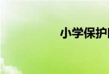 小學(xué)保護(hù)眼睛的手抄報