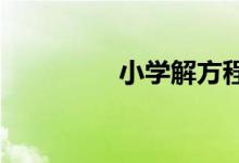 小學(xué)解方程的方法與技巧