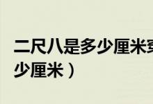 二尺八是多少厘米穿多大號(hào)褲子(二尺八是多少厘米)