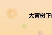 大青樹下的小學(xué)怎么畫
