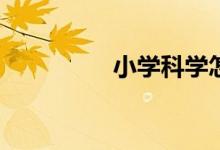 小學(xué)科學(xué)怎么提高成績？