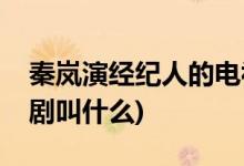 秦嵐演經(jīng)紀人的電視劇(秦嵐演經(jīng)紀人的電視劇叫什么)