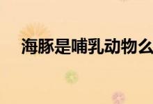 海豚是哺乳動(dòng)物么（海豚是哺乳動(dòng)物嗎）