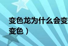 變色龍為什么會(huì)變色20字（變色龍為什么會(huì)變色）