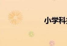 小學(xué)科技作品制作