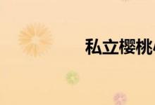 私立櫻桃小學(xué)公園攻略