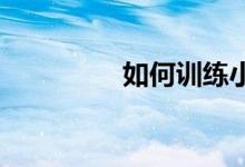 如何訓(xùn)練小學(xué)生的記憶力