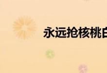 永遠搶核桃白絲皮要多少錢？