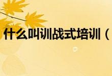 什么叫訓(xùn)戰(zhàn)式培訓(xùn)(個(gè)訓(xùn)課主要是訓(xùn)練什么)