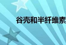 谷殼和半纖維素的主要成分是什么？