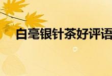 白毫銀針茶好評(píng)語（白豪銀尖是什么茶）