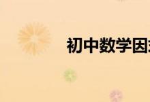 初中數(shù)學因式分解如何講解