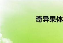 奇異果體育怎么使用？