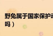野兔屬于國家保護(hù)動物嗎（野兔屬于保護(hù)動物嗎）