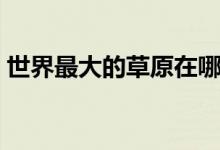 世界最大的草原在哪里?。ㄊ澜缱畲蟮牟菰?class=