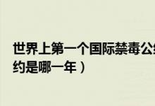 世界上第一個(gè)國(guó)際禁毒公約是哪年(世界第一個(gè)國(guó)際禁毒公約是哪一年)