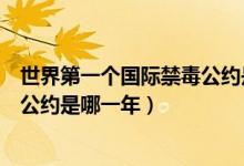 世界第一個國際禁毒公約是哪一天（世界上第一個國際禁毒公約是哪一年）
