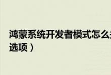 鴻蒙系統(tǒng)開發(fā)者模式怎么關(guān)掉（鴻蒙系統(tǒng)怎樣關(guān)閉開發(fā)人員選項）