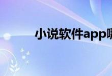 小說(shuō)軟件app哪個(gè)好(小說(shuō)軟件)