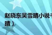 趙曉東吳雪晴小說(shuō)書名(官場(chǎng)小說(shuō)趙曉東吳雪晴)