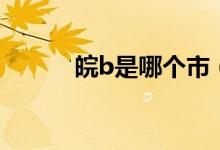皖b是哪個(gè)市(皖b是哪個(gè)城市)