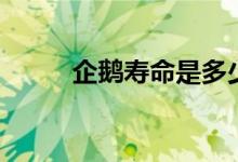 企鵝壽命是多少?。ㄆ簌Z的壽命）