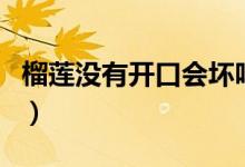 榴蓮沒(méi)有開(kāi)口會(huì)壞嗎（榴蓮一直不開(kāi)口會(huì)壞嗎）