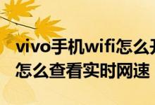 vivo手機(jī)wifi怎么開顯示實時網(wǎng)速（vivos10怎么查看實時網(wǎng)速）