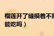 榴蓮開(kāi)了縫摸著不熟能吃嗎（榴蓮開(kāi)了一點(diǎn)縫能吃嗎）