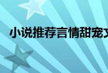 小說(shuō)推薦言情甜寵文有肉短篇(小說(shuō)推薦)