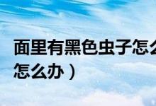 面里有黑色蟲(chóng)子怎么辦去除（面里有黑色蟲(chóng)子怎么辦）