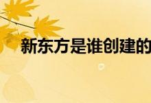 新東方是誰(shuí)創(chuàng)建的(新東方是做什么的)