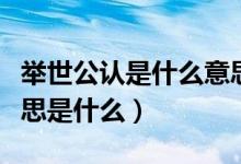 舉世公認(rèn)是什么意思簡單說法（舉世公認(rèn)的意思是什么）