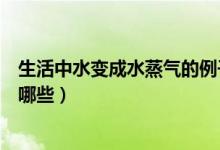 生活中水變成水蒸氣的例子有哪些（生活中水蒸氣的現象有哪些）