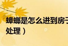 蟑螂是怎么進到房子里的（房子有蟑螂該如何處理）