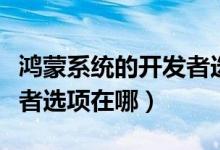 鴻蒙系統(tǒng)的開發(fā)者選項(xiàng)在哪里（鴻蒙系統(tǒng)開發(fā)者選項(xiàng)在哪）