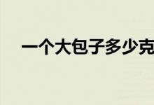 一個(gè)大包子多少克（一個(gè)大包子多少克）