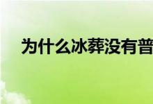為什么冰葬沒有普及(冰葬是什么原理)