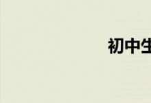 初中生的學(xué)習(xí)論