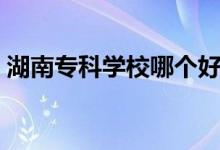 湖南專(zhuān)科學(xué)校哪個(gè)好(排名靠前的大專(zhuān)學(xué)校)