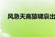 風(fēng)急天高猿嘯哀出自哪首詩(shī)（作者是誰）