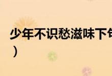 少年不識愁滋味下句是什么（全詩內容及翻譯）