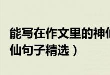 能寫(xiě)在作文里的神仙句子(能用在作文里的神仙句子精選)