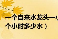 一個(gè)自來(lái)水龍頭一小時(shí)放多少水(水龍頭放一個(gè)小時(shí)多少水)